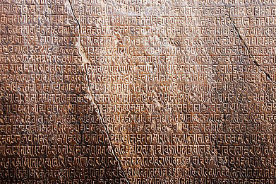 外卖小哥吃大鲜肉的logo｜“跨界融合，汽车外卖新logo引热议，携手共创便捷未来”-3