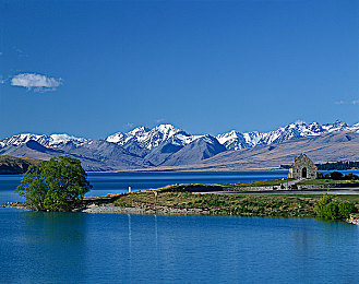 黄色小软件|智能护航,绿色未来,驾驶新篇章-2