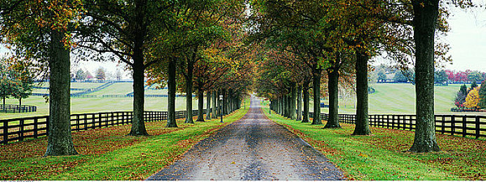 麻花传md0044苏蜜清歌星空｜科技盛宴，梦幻概念车亮相车展，引领未来出行潮流-4