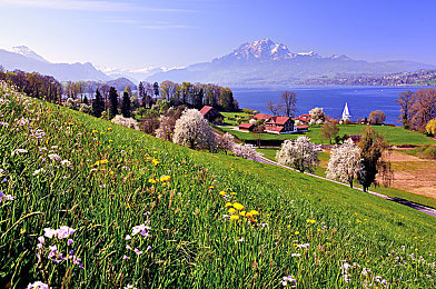 亭亭玉立国色天香综合,“古典与现代融合，全新车型“亭亭玉立”引领潮流，科技配置丰富，品质卓越备受瞩目-2