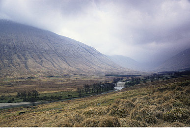 JuliaAnn   大战黑人｜时尚驾驭挑战，JuliaAnn破浪前行，谱写新锐车型传奇-1