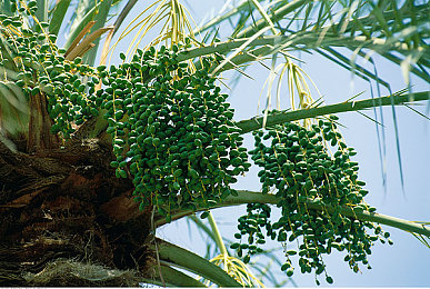 成人福利导航APP｜便捷实惠，一站式服务：全新汽车生活APP引领用车潮流-1