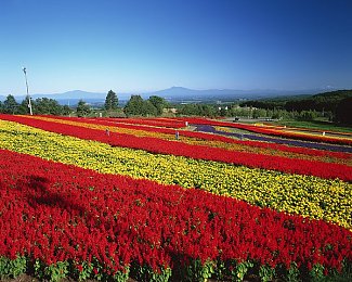 王氏寺庙避雨1~6章内容概括|雨中奇遇,寺庙奇缘,佛像显灵,感悟人生路-3