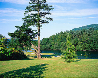 黑料吃瓜反差|品质之光:破除偏见,汽车品牌的多面魅力展现-2