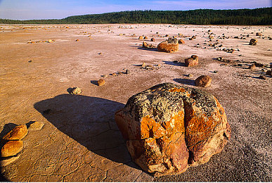 击球手哭着喊前锋停下|“泪洒赛场,正义之光守护公平竞技场”-1
