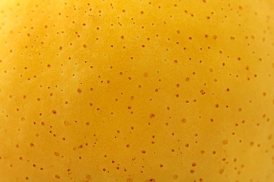 免费成人黄色软件｜汽车资讯APP新宠：聚焦专业，打造汽车爱好者互动社区-2