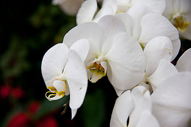 火影18同人手游破解版｜科技驱动娱乐新风尚，破解手游引发狂欢热浪-1