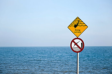 丝瓜草莓｜新能源汽车崛起，绿色动力绘就未来画卷-1