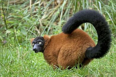 三级农村妇女下乡|“乡村振兴路,农村妇女驾驶新篇章,汽车市场蓬勃发展新景象”-4