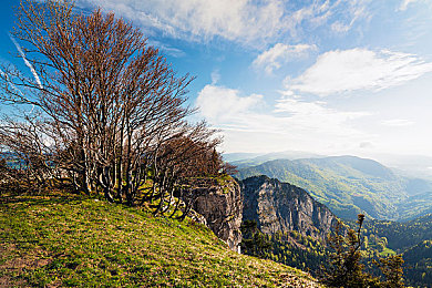 山东乱子伦视频国产｜国产神车亮相，山东乱子伦动力强劲油耗低，8-12万成消费者新宠-3