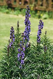 爽 躁多水 快 深点按摩｜“全新力作引领潮流：动力澎湃、操控卓越、舒适安全，这款新车即将火爆市场！”-1