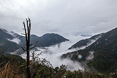 绿巨人涩涩屋黄品汇|新能源汽车新焦点,绿巨人竞速来袭,品质与创新共舞-2