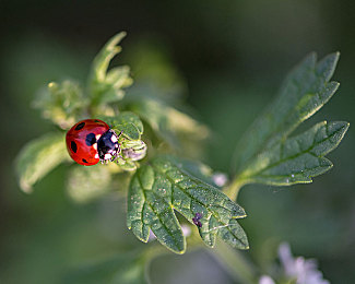幼女一级片|“创新设计引领潮流,年轻首选!揭秘全新汽车新品独特魅力”-2