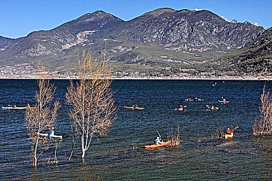 男女打扑克秘 免费软件|智驾娱乐新篇章,安全便捷乐行天下-3