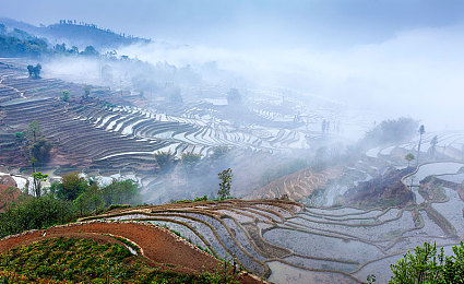 100种禁用软件|智能驾驶升级,警惕车联网安全:汽车行业严防非法软件入侵,保障用户安全体验-2