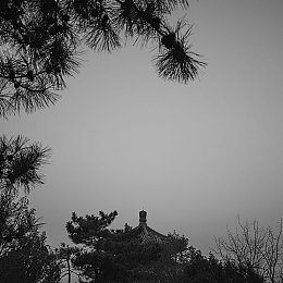 张律渝和吕知樾三部曲诺拉｜“匠心独运，智驾未来——诺拉演绎科技与美学之盛宴”-2