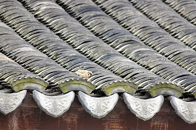 娇小枯瘦女爱黑人BBC｜黑人文化灵感，BBC经典再现，独特设计引领汽车潮流-2