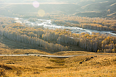 男朋友故意憋尿揉肚子｜“智能座椅创新升级，人性化设计引领汽车安全新潮流”-4