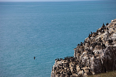女人的肌肌让男人桶|女性视角引领潮流,“女人的肌肌让男人桶”汽车新设计备受瞩目-2