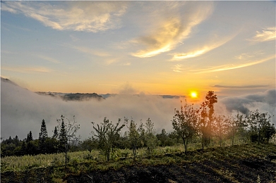 软件下载3.0.3免费华为|华为创新加码汽车服务,智能应用“软件下载3.0.3”免费上线,开启便捷出行新体验-3