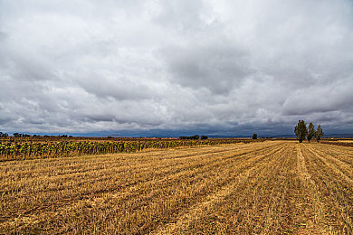 娇小亚裔vs黑人巨大|“亚裔小巧与黑人霸气:汽车设计风格之争,引领市场多元化潮流”-1