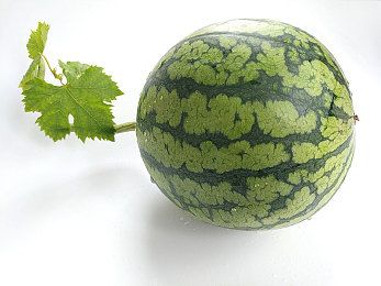 黄包软件|科技驱动,智行天下,汽车服务新纪元-1