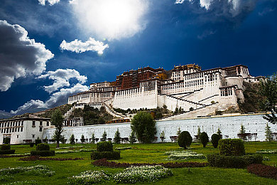 精油裸按摩|汽车保养新潮流:缓解驾驶疲劳,精油保健按摩引领健康驾车生活-3