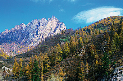 张柏芝陈冠希囗交古装｜张柏芝陈冠希古装秀惊艳亮相，汽车新风尚引领时尚潮流-4