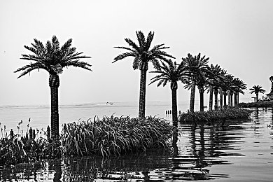 男女互操软件|创新互动体验,男女驾驶差异模拟:新式驾驶技能提升软件走红车坛-2