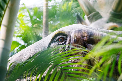 我的世界女生胸罩里面的东西|“胸罩灵感座驾,女性专属舒适领航——潮流新能源汽车新标杆-3