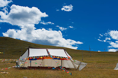 歪歪漫画平台｜数字画卷，汽车品牌新篇章-1