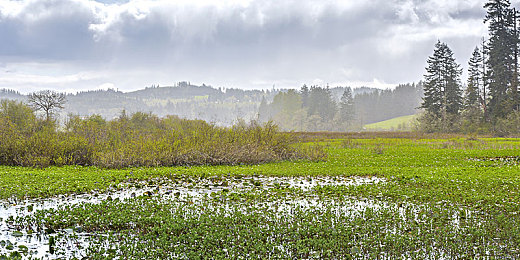 本庄优花哺乳人妻JUX｜樱桃动漫风潮，本庄优花演绎跨界汽车新纪元-3