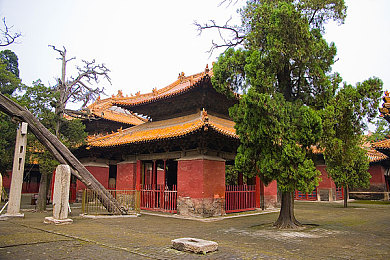 脱裤子打jk白丝校花屁股｜JK白丝校花车型亮相：运动时尚设计，强劲动力配置，引领市场新潮流-4