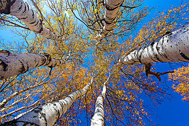 张柏芝被揉到高潮喷了一床小说|激情驾驭,卓越动力!全新车型引领汽车潮流,满足速度与安全双重需求-1