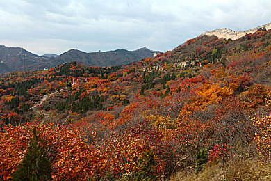 爆走黑料|“神秘车型走红,独特设计性能卓越,新一代销量爆款“爆走黑料”引期待”-2