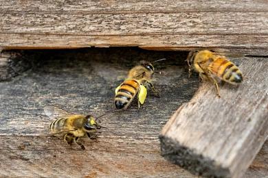 男生女生一起差差差|时尚跨界,驾驭未来,男女共赏“差”界传奇-2