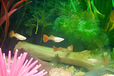 哥布林的洞窟|穿越时空的驾驶奇遇,颠覆想象的未来座驾-3