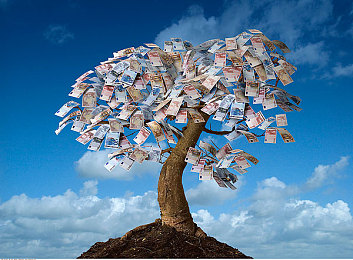 一区黄色|绿色智驱新风尚,一脉科技领航路-2