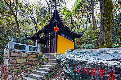 久热久热｜新能源汽车领航，比亚迪汉EV领衔，本田雅阁等热门车型夏日狂欢来袭-3