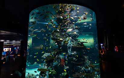 黄色不良软件下载|智能汽车安全隐患频发:某品牌车型涉不良软件,车主应如何应对?-2