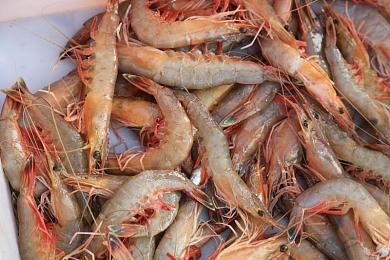 sooo·tv黑料｜新能源汽车风云再起，诚信守护行业新篇章-3