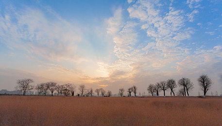 美国xaxwaswaskino的旅游活动|驾驭西部秘境,Xaxwaswaskino自驾奇观之旅-2
