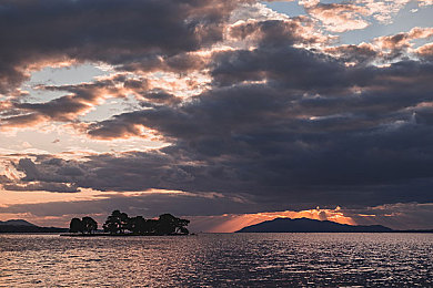 张柏芝一级A片|“明星加持,性能卓越:全新车型引热议,引领汽车潮流新篇章”-2