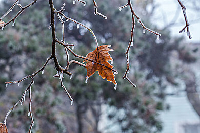 控人憋尿计划表(困难版)女|“女性长途驾驶新助手:个性化‘憋尿’计划表助安全出行”-2