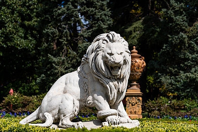 天美麻花星空有限公司电视剧-1