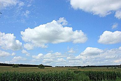 女同学裸体趴下光屁股挨打|颠覆传统,智领未来——全新SUV引领绿色出行潮流-2