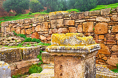 欧美寡妇XXXX黑人猛交游戏|创新融合文化元素,汽车游戏“新潮流”引领驾驶体验革命-5