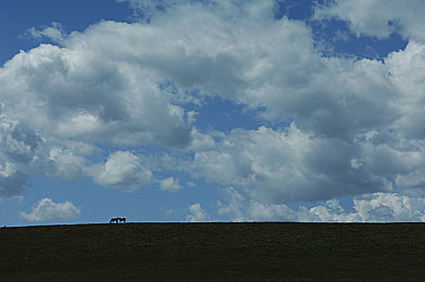 十八禁入口｜整治汽车销售乱象，保障消费者权益：揭秘汽车市场“潜规则”，共创健康购车环境-1