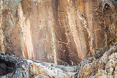 猫娘拔萝卜|独特设计引关注,"猫娘拔萝卜"引领汽车市场新潮流-2