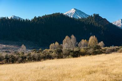 黄色APP免费|“综合导航娱乐一网打尽,免费出行神器“黄色APP”受热捧,好评如潮!”-2